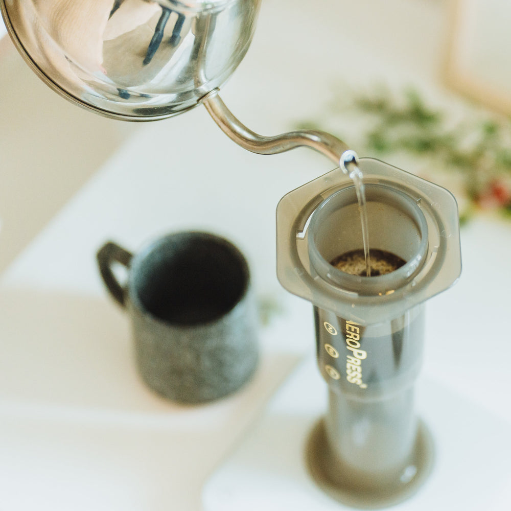 Filtre permanent Able Disc Aeropress
