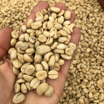 grains-de-cafe