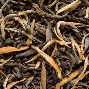 Grand Yunnan GFOP