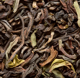 Darjeeling Jungpana GFOP
