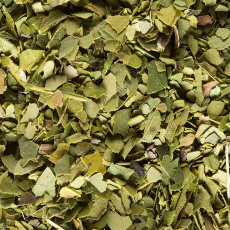 Maté Vert