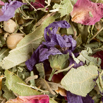 Tisane des Merveilles